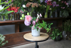 Delivery date 12th Feb 2025  : Flower assortment