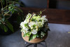 Delivery date 13th Feb 2025 :  Seasonal  flower arrangement  M